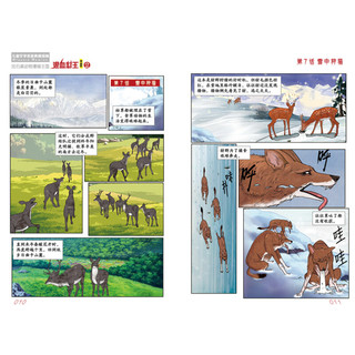 《中国卡通漫画书·沈石溪动物漫画王国：混血豺王2》（漫画版）