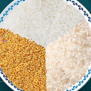 米小芽 有机多谷物粥米