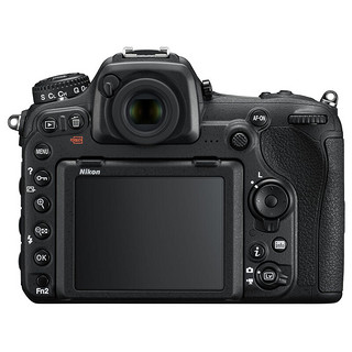 Nikon 尼康 D500 APS-C画幅 数码单反相机 黑色 AF-S 18-200mm F3.5 变焦镜头 单镜头套机
