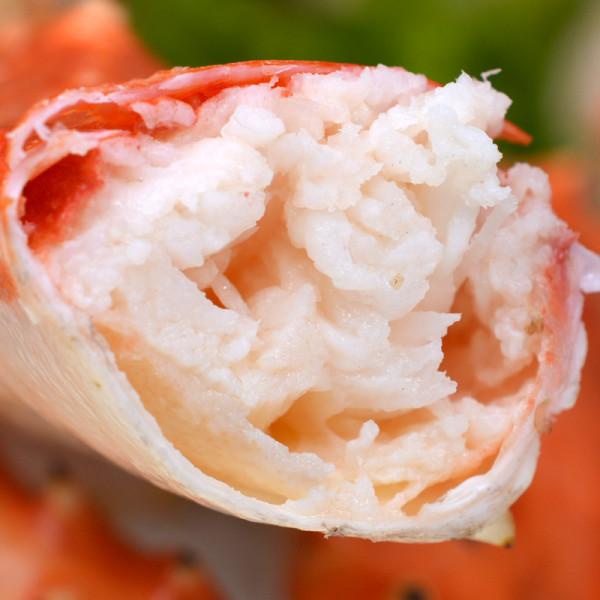 人间美味澳洲进口皇帝蟹仅售8800元