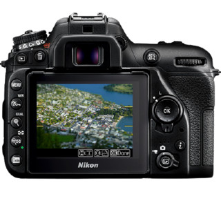 Nikon 尼康 D7500 APS画幅 数码单反相机 黑色 16-80mm 变焦镜头 单镜头套机