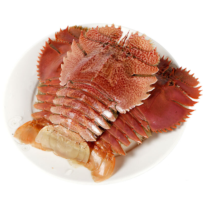 海鲜颂 冻琵琶虾 500g