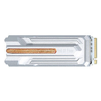 GALAXY 影驰 名人堂 HOF Pro NVMe M.2 固态硬盘 500GB（PCI-E4.0）