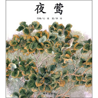 《夜莺》（精装）