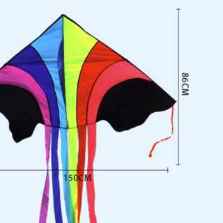 飞阳 风筝 飞天彩虹+30米线板