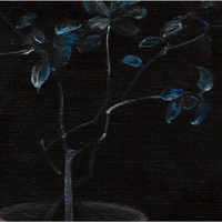 Ben Art Gallery 本艺术空间 武惠玲《花卉系列》40×50cm 油画 数位版画 休闲区装饰画 白色画框