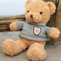 直播专享：蔷薇之恋 泰迪熊毛绒玩具小熊公仔 30厘米小玩偶抱抱熊