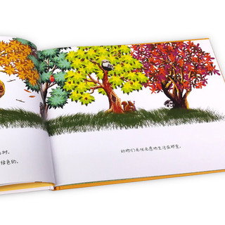 《森林寓言》（精装）