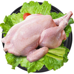 食裁土鸡仔鸡整鸡肉生鲜农村三黄鸡杀后净重800g只