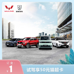 WULING 五菱汽车 五菱宝骏全系车试驾整车汽车轿车