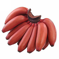 六尚 红皮香蕉 美人蕉  5斤装