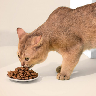 Myfoodie 麦富迪 夹心系列 鸡肉车前子成猫猫粮 1.5kg