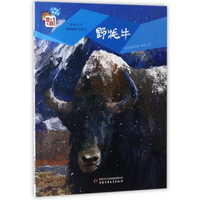 《儿童文学童书馆·自然之子黑鹤原生态系列：野牦牛》