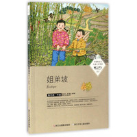 《中国新生代儿童文学作家精品书系·姐弟坡》