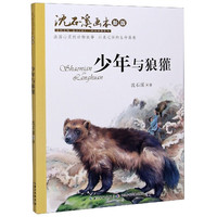 《沈石溪画本·少年与狼獾》（新版）