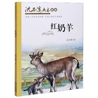 《沈石溪画本·红奶羊》（新版）