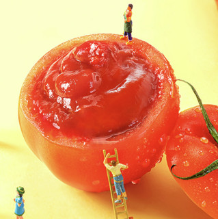 秋田满满 有机番茄酱