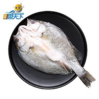 ZHONGYANG FISH WORLD 中洋鱼天下 35.16元/条 二去江团鱼 550-650g
