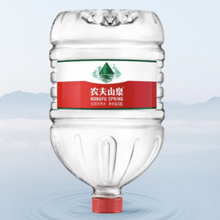 NONGFU SPRING 农夫山泉 饮用天然水 12L