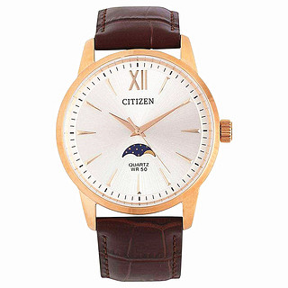 CITIZEN 西铁城 AK5003-05A 男士石英表