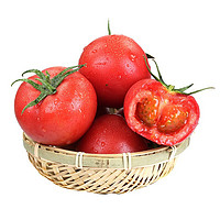 圣德利 山东沙瓤西红柿番茄生鲜 9-10斤带箱（发顺丰）