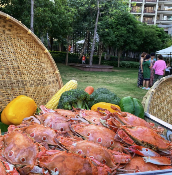 机场过渡酒店优选！海旅·君澜三亚湾迎宾馆3天2晚套餐