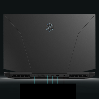 MECHREVO 机械革命 蛟龙7 五代锐龙版 17.3英寸 游戏本 黑色 (锐龙R7-5800H、RTX 3060 6G、16GB、512GB SSD、2K、165Hz)