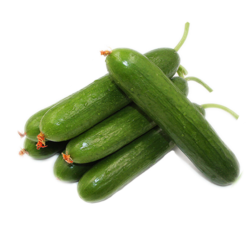 水果黄瓜