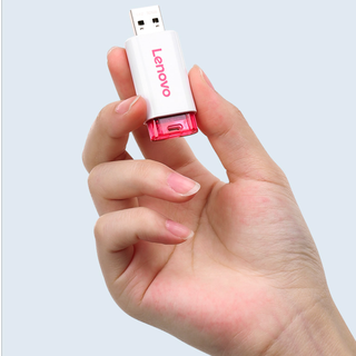 Lenovo 联想 速芯系列 SX2 USB 2.0 U盘 粉色 32 GB USB