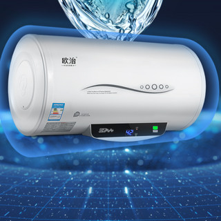 OUZHI 欧治 LP-G20-100L 储水式电热水器 100L 2000W