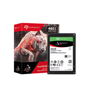 SEAGATE 希捷 酷狼IronWolf 110系列 SATA 固态硬盘 (SATA3.0)