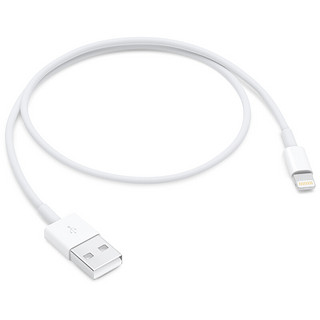 Apple 苹果 USB-A转Lightning 数据线