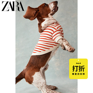 ZARA   宠物系列 条纹卫衣 06858001600