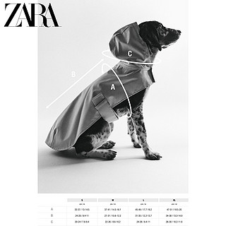 ZARA   宠物系列 条纹卫衣 06858001600