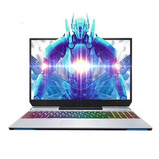 MACHENIKE 机械师 F117-V 15.6英寸 银色 (酷睿i7-10750H、RTX 2060 6G、16GB、256GB SSD+1TB HDD、1080P、IPS、144Hz）