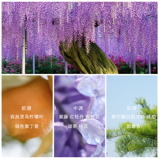 LANVIN捡漏专享 浪凡光韵嫁给我摩登公主邂逅罪爱华悦绽放男女士淡香水（30mL、大卫杜夫冷水女士）