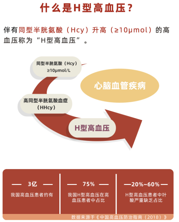 plus会员基因故事h型高血压基因检测