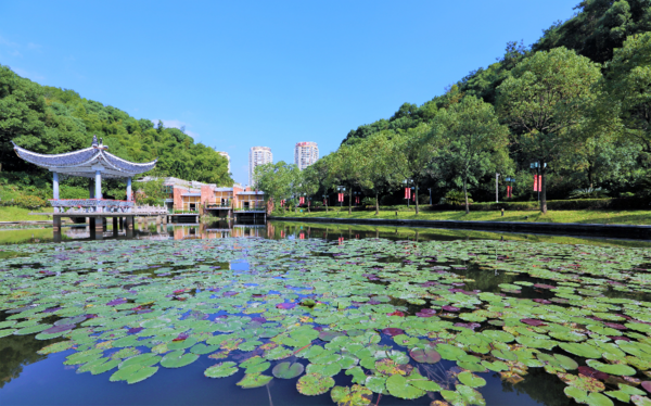 台州远洲凤凰山庄 豪华房2晚（含早餐+欢迎水果等）