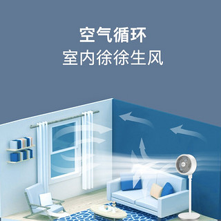 海信（Hisense）家用卧室落地涡轮交流空气循环扇 办公遥控立式智能静音摇头对流循环电风扇 FXJ-AN2501 (机械+101CM)