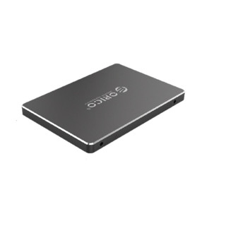 ORICO 奥睿科 迅龙战甲 SATA 固态硬盘 256GB（SATA3.0）