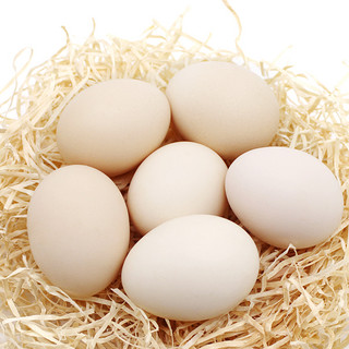 五个农民 初生土鸡蛋 20枚 800g