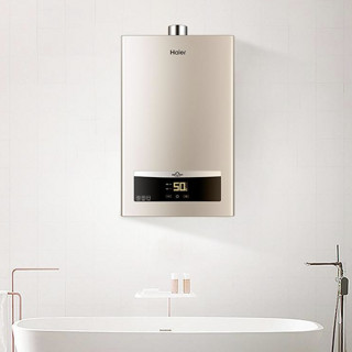 Haier 海尔 D11系列 燃气热水器