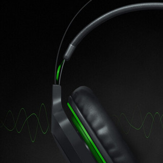 RAZER 雷蛇 雷霆齿鲸 V2 耳罩式头戴式有线耳机 黑色 USB