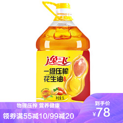 逸飞 特香压榨花生油5L 食用油