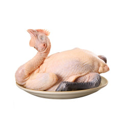 【省34.95元】新鲜鸡肉_wens 温氏 青脚土鸡新鲜鸡肉800g谷物喂养土鸡