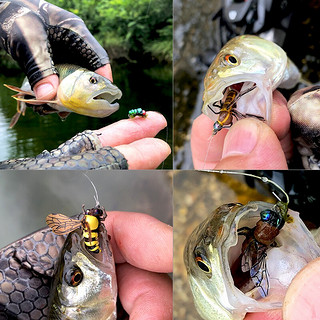 品钓浮水仿生苍蝇蜜蜂路亚饵飞蝇饵昆虫假饵拟饵虫型饵马口白条 绿豆蝇14#两只装