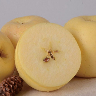 JINSHANWAN 金山湾 奶油富士苹果 9-12个 2.5kg