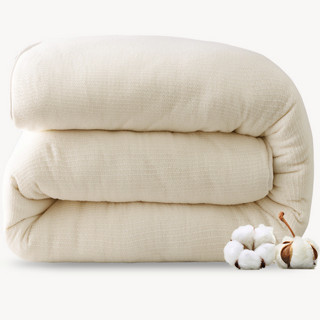 佳佰 暖芯棉花冬被胎 150*200cm 6斤