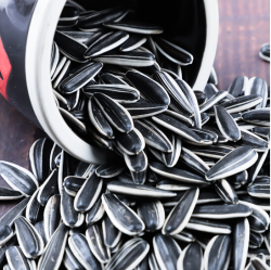 内蒙古2021年新货熟瓜子毛嗑零食原味1斤