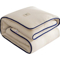 佳佰 絮暖棉花被胎